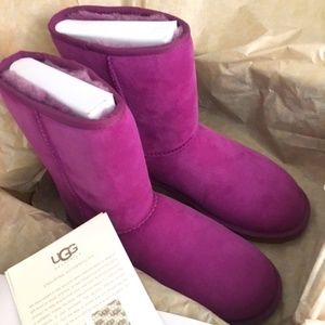 Magenta Women’s Classic Short Ugg’s NWT